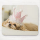 Search for 1 3 mouse mats Humour