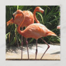 Search for flocking invitations Bird