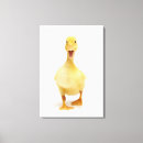 Search for ducklings canvas prints Animals