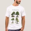 Search for bonzai tree Trees