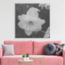 Search for daffodil canvas prints White