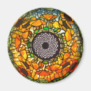 Search for stain magnets Orange