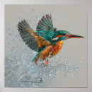 Search for kingfisher painting posters Fishing