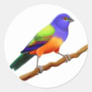 Search for painted bunting stickers Birds