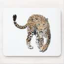 Search for big cat electronics Colour