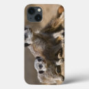 Search for mother ipad cases Animal