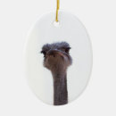 Search for ostrich christmas tree decorations Animal