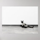 Search for siamese art Portrait