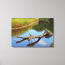 Search for lazy canvas prints Nature