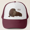 Search for walrus hats Marine
