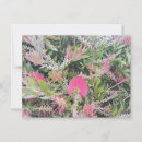 Search for shrubs postcards Botanical