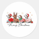 Search for cute dachshund stickers Snow
