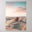 Search for shell photography Waves