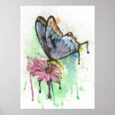 Search for colorful butterflies posters Nature