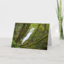 Search for jamie cards Forest