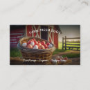 Search for homestead business cards Chickens