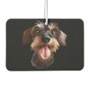 Search for dachshund car accessories Wirehaired