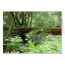 Search for bridge note cards Landscape