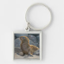 Search for sea lion key rings Beach