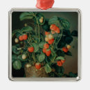 Search for veg christmas tree decorations 19th