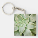 Search for succulent key rings Botanical