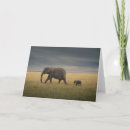 Search for elephant calf cards Maasai mara national reserve