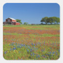 Search for texas hill country stickers Tree