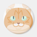 Search for curl magnets Kitty
