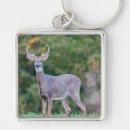 Search for deer key rings Trees