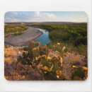 Search for dry electronics Landscape