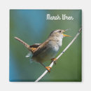 Search for marshes magnets Nature