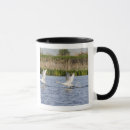 Search for breeding mugs Bird