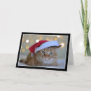 Search for cats wearing hats christmas cards Cute