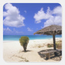 Search for coco stickers Tropical