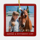 Search for horse christmas tree decorations red