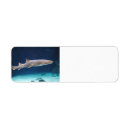 Search for saltwater return address labels Aquatic