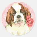 Search for st valentine stickers Saint bernard
