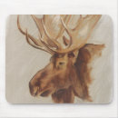Search for moose mouse mats Nature