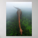 Search for primeval Nature