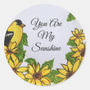 Search for songbirds stickers For her