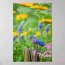Search for garden fence posters Danita delimont