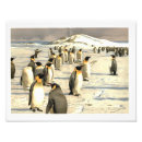 Search for penguin illustration posters Ice