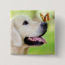 Search for butterfly dog badges Dogs