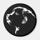 Search for the guy magnets Black