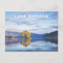 Search for best of new zealand postcards Photography