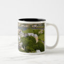 Search for unesco world heritage mugs City