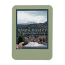 Search for apple tree magnets Landscape