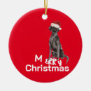 Search for black labrador gifts Modern