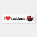 Search for love birds bumper stickers Cute