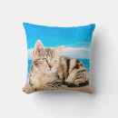 Search for cat sitting cushions Kitten